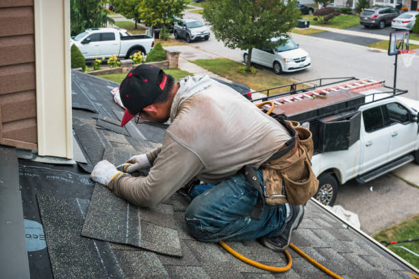 Professional Storm Damage Roof Repair technician working in Mortons Gap, KY
